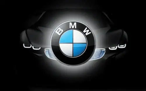 BMW E-Sys VMware [En] скачать торрент
