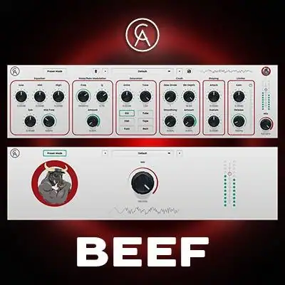 Caelum Audio — Beef 1.0.1 VST3, AAX (x64/x86) RePack by FLARE [En] скачать торрент