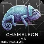 ChameleonLab — лаборатория стеганографии 1.0.0.0 [Ru] скачать торрент