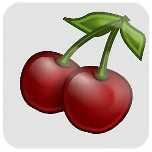 CherryTree 0.37.6 [Multi/Ru] скачать торрент