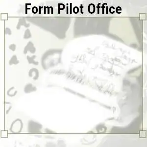 Form Pilot Office 2.53 [Ru] скачать торрент