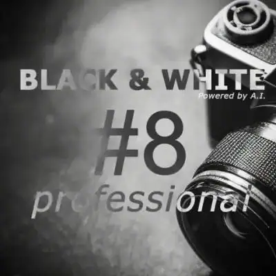 Franzis BLACK & WHITE Pro 8.25.04078 Portable by Spirit Summer [Multi] скачать торрент