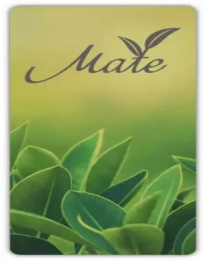 Linux для дома 22.7.3 (Mint, Mate DE) [amd64] скачать торрент