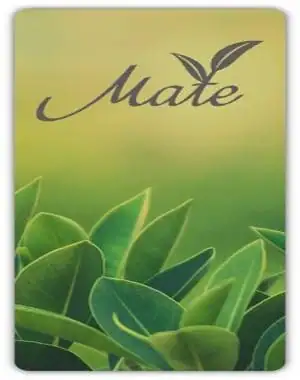 Linux для дома и игр 22.7.6 Mint, Mate DE [amd64] 1xDVD скачать торрент