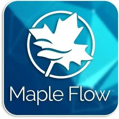 Maplesoft Maple Flow 2025.1 [En] скачать торрент