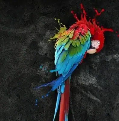 Parrot Security OS 3.11 [Хакинг, аудит, безопасность] [i386, amd64] 2xDVD 3.11 [i386, amd64] 2xDVD скачать торрент