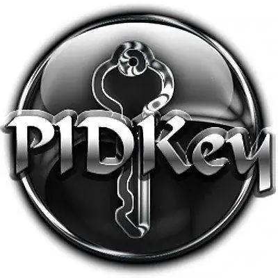 PIDKey 2.1.2 build 1017 Final Portable [Multi/Ru] скачать торрент