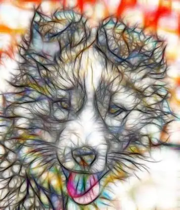 Redfield Fractalius 2.80 [En] скачать торрент