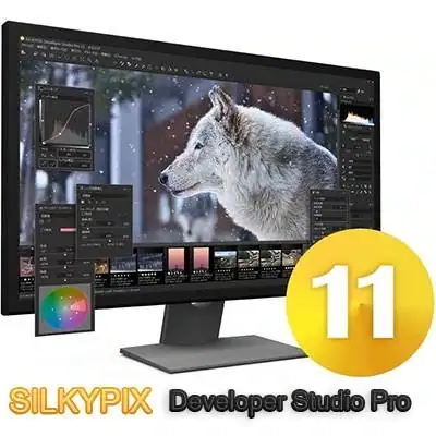 SILKYPIX Developer Studio Pro 11.0.12.1 Portable by Spirit Summer [Ru] скачать торрент