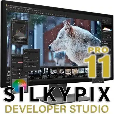 SILKYPIX Developer Studio Pro 11.0.12.1 (x64) Portable by 7997 [En] скачать торрент