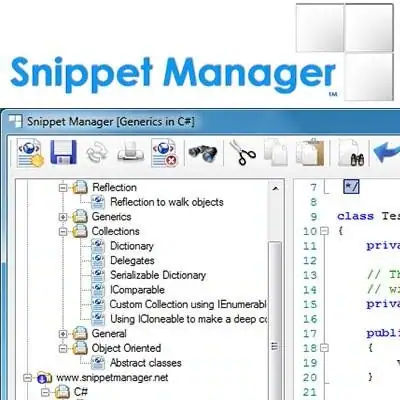 SnippetManager 1.0 Portable [En] скачать торрент
