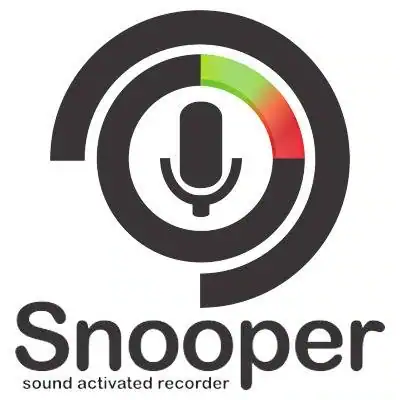 Snooper Professional 3.4.9 [En] скачать торрент