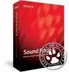 Sound Forge 8.0 RUS скачать торрент