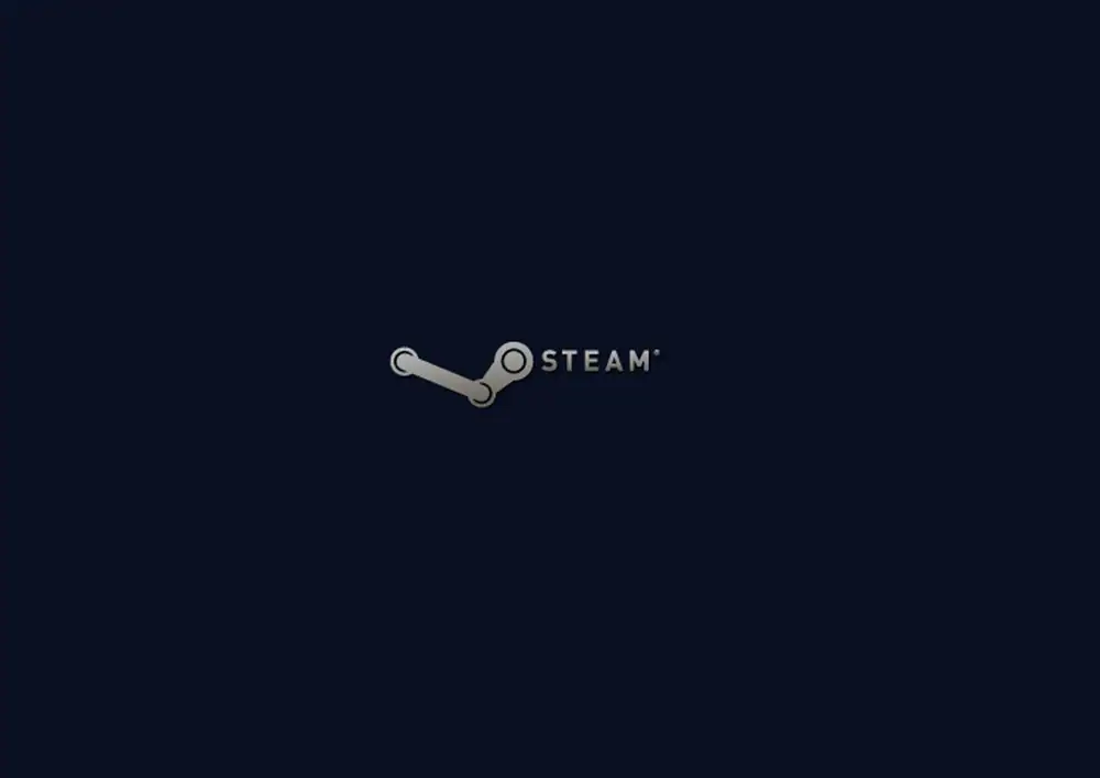 Steam