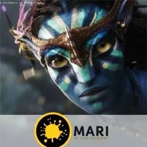 The Foundry Mari 4.0v1 [En] скачать торрент