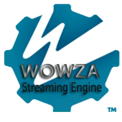 Wowza Streaming Engine 4.7.8 [En] скачать торрент